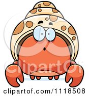 Poster, Art Print Of Surprised Hermit Crab