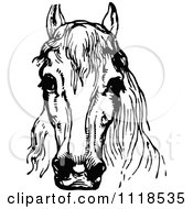 Poster, Art Print Of Retro Vintage Black And White Horse Head 1