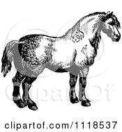 Clipart Of A Retro Vintage Black And White Horse 2 Royalty Free Vector Illustration