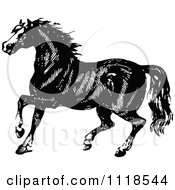 Clipart Of A Retro Vintage Black And White Horse 1 Royalty Free Vector Illustration