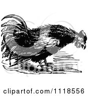 Clipart Of A Retro Vintage Black And White Farm Rooster 1 Royalty Free Vector Illustration