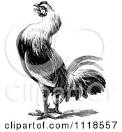 Clipart Of A Retro Vintage Black And White Farm Rooster 2 Royalty Free Vector Illustration