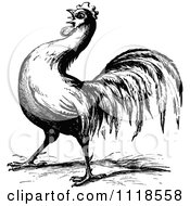 Poster, Art Print Of Retro Vintage Black And White Farm Rooster 3