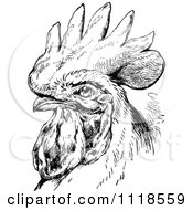 Clipart Of A Retro Vintage Black And White Rooster Portrait Royalty Free Vector Illustration