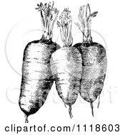 Poster, Art Print Of Retro Vintage Black And White Plump Carrots And Greens
