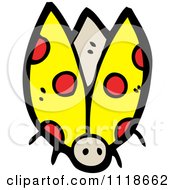 Poster, Art Print Of Yellow Ladybug Beetle 6