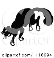 Poster, Art Print Of Retro Vintage Black And White Scared Cat Jumping