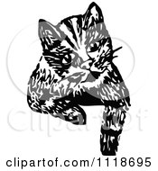Clipart Of A Retro Vintage Black And White Cat Looking Over A Surface Royalty Free Vector Illustration