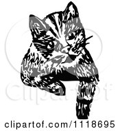 Poster, Art Print Of Retro Vintage Black And White Cat Looking Over A Surface