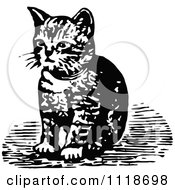 Poster, Art Print Of Retro Vintage Black And White Kitten Sitting