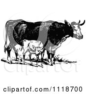 Poster, Art Print Of Retro Vintage Black And White Cow And Calf