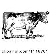 Poster, Art Print Of Retro Vintage Black And White Cow 2