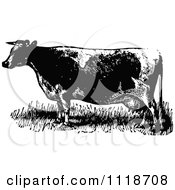 Poster, Art Print Of Retro Vintage Black And White Cow 1