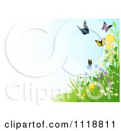 Poster, Art Print Of Background Of Butterflies And Wildflowers With Copyspace