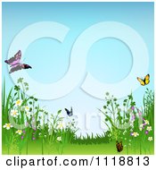 Poster, Art Print Of Background Of Wild Meadow Flowers And Butterflies