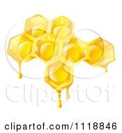 Poster, Art Print Of Bee Honey Dripping Off Of Combs