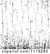 Poster, Art Print Of Black And White Grungy Cracked Background