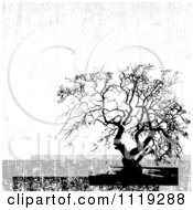 Poster, Art Print Of Distressed Bare Tree Background