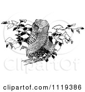 Clipart Of A Retro Vintage Black And White Perched Owl 1 Royalty Free Vector Illustration