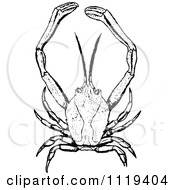 Clipart Of A Retro Vintage Black And White Masked Crab Royalty Free Vector Illustration by Prawny Vintage