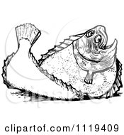 Poster, Art Print Of Retro Vintage Black And White Plaice Flatfish