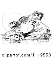 Clipart Of A Retro Vintage Black And White Frog Sun Bathing Royalty Free Vector Illustration