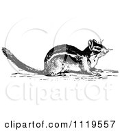 Clipart Of A Retro Vintage Black And White Chipmunk Royalty Free Vector Illustration