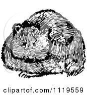 Clipart Of A Retro Vintage Black And White Resting Bear Royalty Free Vector Illustration
