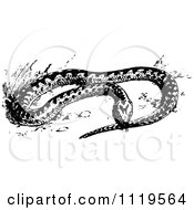 Clipart Of A Retro Vintage Black And White Adder Snake Royalty Free Vector Illustration