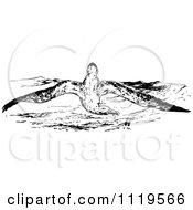 Clipart Of A Retro Vintage Black And White Flying Albatross Royalty Free Vector Illustration