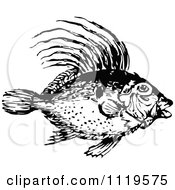 Poster, Art Print Of Retro Vintage Black And White Dory Fish