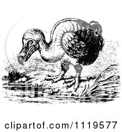 Retro Vintage Black And White Dodo Bird