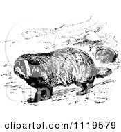Clipart Of A Retro Vintage Black And White Common Badger Royalty Free Vector Illustration