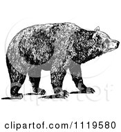 Clipart Of A Retro Vintage Black And White Brown Bear Royalty Free Vector Illustration