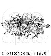 Clipart Of A Retro Vintage Black And White Bird Nest With Eggs Royalty Free Vector Illustration