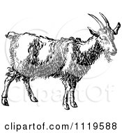 Clipart Of A Retro Vintage Black And White Goat Royalty Free Vector Illustration by Prawny Vintage