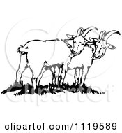 Clipart Of Retro Vintage Black And White Goats Royalty Free Vector Illustration