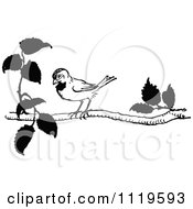 Clipart Of A Retro Vintage Black And White Bird On A Branch Royalty Free Vector Illustration