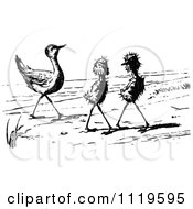 Clipart Of A Retro Vintage Black And White Ugly Birds On A Beach 1 Royalty Free Vector Illustration