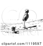 Clipart Of A Retro Vintage Black And White Ugly Birds On A Beach 3 Royalty Free Vector Illustration