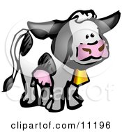 Poster, Art Print Of Black And White Cow With Udders And A Cow Bell On A Dairy Farm