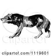 Clipart Of A Retro Vintage Black And White Wolf 2 Royalty Free Vector Illustration