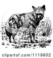 Clipart Of A Retro Vintage Black And White Wolf 1 Royalty Free Vector Illustration
