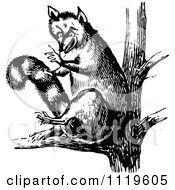 Clipart Of A Retro Vintage Black And White Fox In A Tree Royalty Free Vector Illustration