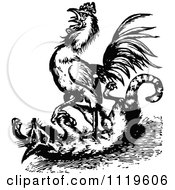 Poster, Art Print Of Retro Vintage Black And White Rooster Attacking A Fox