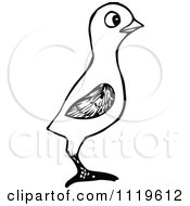 Clipart Of A Retro Vintage Black And White Bird Royalty Free Vector Illustration