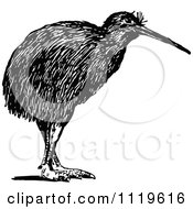 Clipart Of A Retro Vintage Black And White Kiwi Bird Royalty Free Vector Illustration by Prawny Vintage