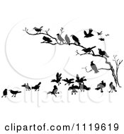 Retro Vintage Black And White Crows In A Bare Tree