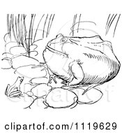 Clipart Of A Retro Vintage Black And White Chubby Frog Royalty Free Vector Illustration
