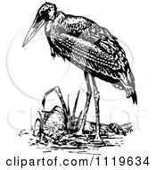 Clipart Of A Retro Vintage Black And White Stork Royalty Free Vector Illustration by Prawny Vintage